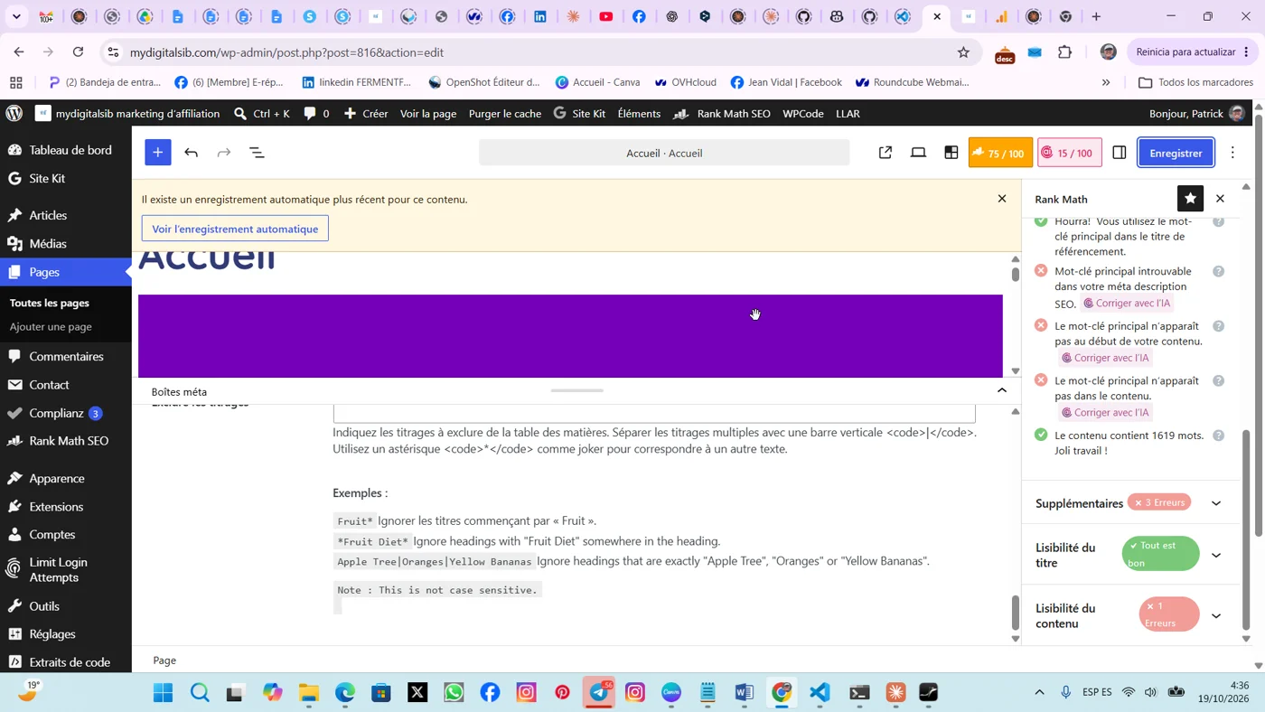 Score de référencement de ma page d’accueil remonté à 75 sur 100