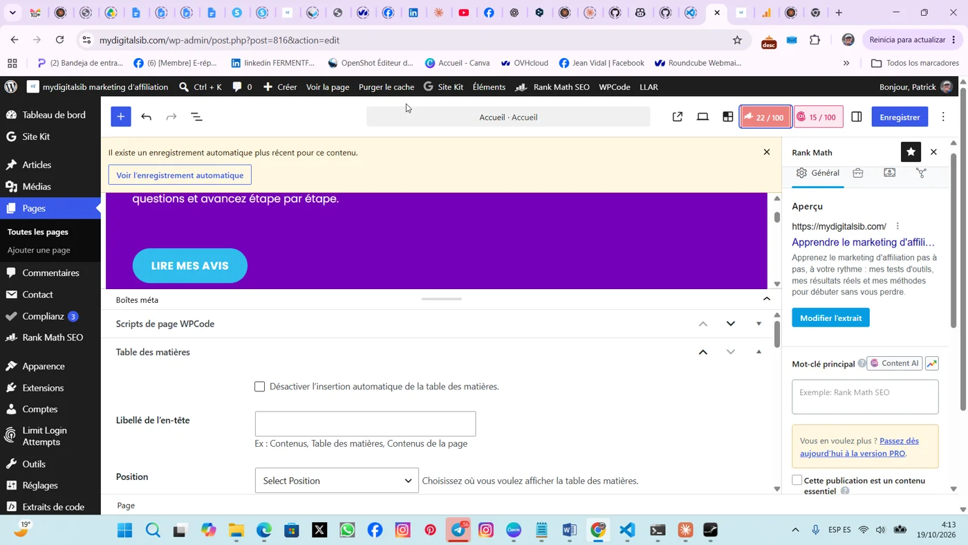 Score de référencement de ma page d’accueil à 22 sur 100, avec plusieurs erreurs